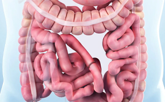 Intestinal Surgery in Ahmedabad